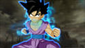 Dragonball Z: Burst Limit