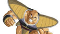Dragonball Z: Burst Limit