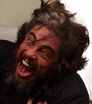 Benicio Del Toro