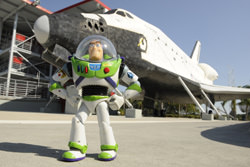 Buzz