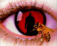 Candyman