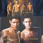 The Twilight Saga New Moon Trading Cards