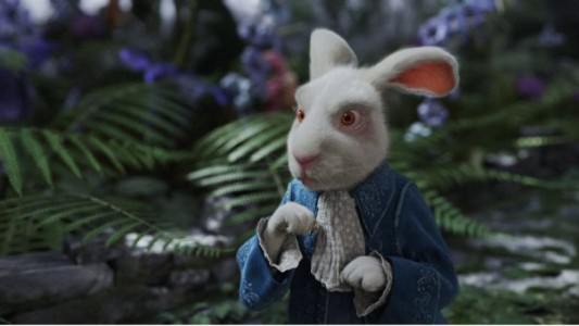 TMCTWISP, THE WHITE RABBIT