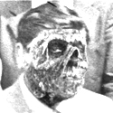 Obvious Zombie