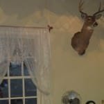 SDCC 2010: Preview Night: AMCs The Walking Dead set piece 03