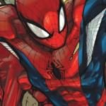 Avenging Spider-Man Banner