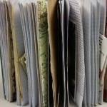 Indiana Jone Mystery Package Image #2