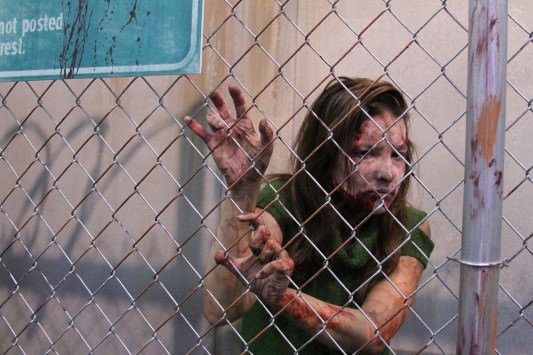 SDCC 2013: Photos from the convention floor 39