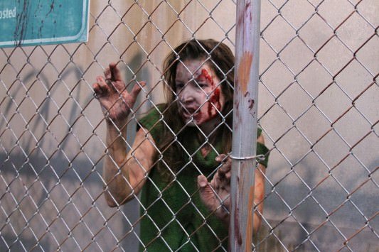 SDCC 2013: Photos from the convention floor 42