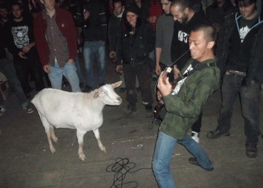 Rip Biquette De Mauriac The Grindcore Goat