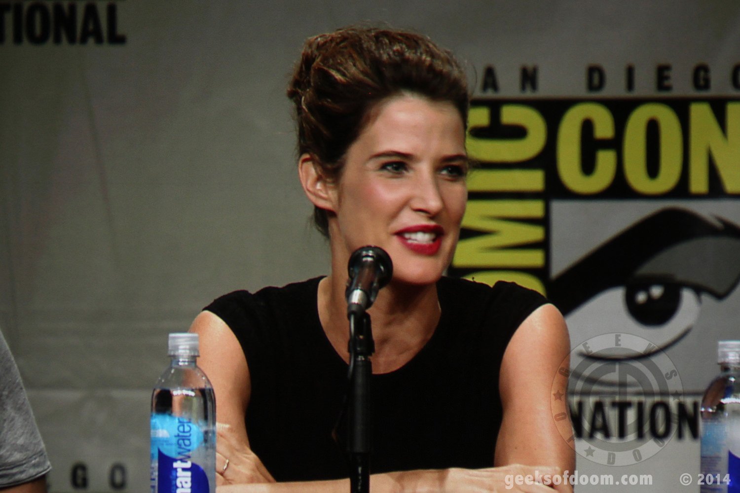 avengers-age-of-ultron-panel-cobie-smulders-07