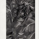 Unseen Jurassic Park Poster #8