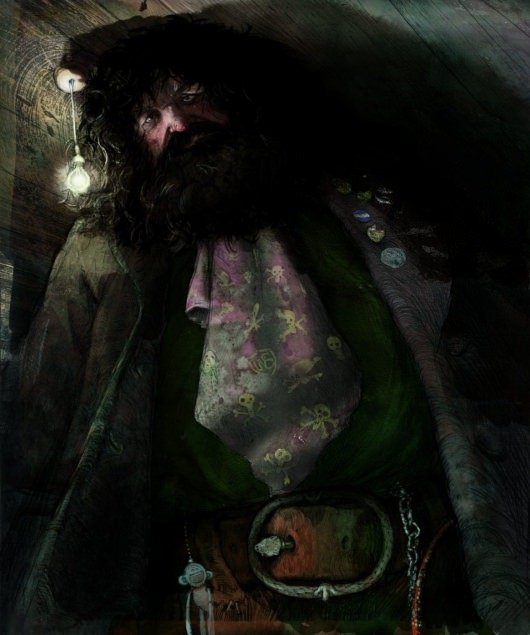 Harry Potter and the Sorcerer's Stone Illustrated -- Hagrid