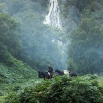 Vikings Born Again-19