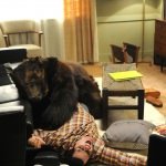 Orange You The New Black Guy 106-10