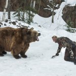 Vikings 403-01