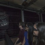 Skull Island Reign of Kong Universal Orlando Resort