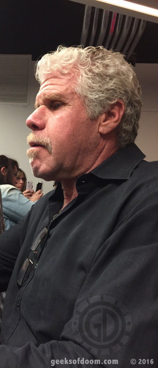 Ron Perlman, Trollhunters roundtable interview, NYCC 2016