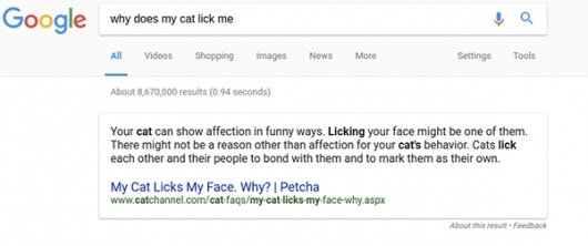 Google Home Search Result