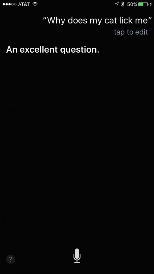 Apple Siri general info search