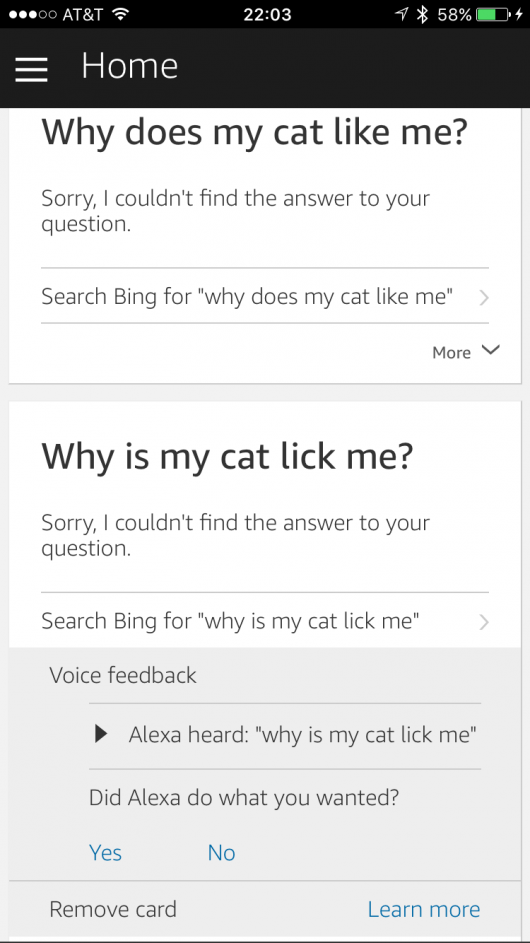 Amazon Echo Alexa Bing Search