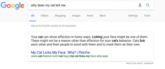 Google Home Search Result