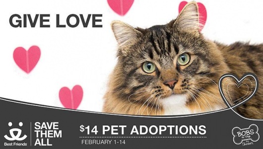 Best Friends Animal Sanctuary give love