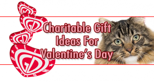 Valentines Day charitable gift ideas