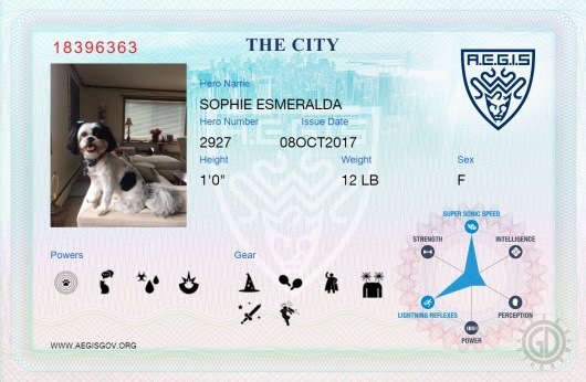 The Tick Dangerboat NYCC 16