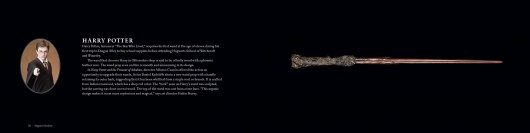 Harry Potter The Wand Collection 3