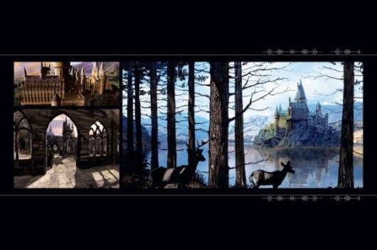 The Art Of Harry Potter 5