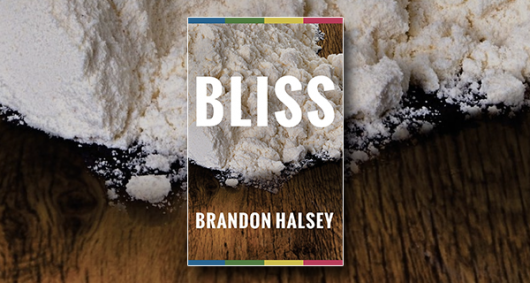 Bliss by Brandon Halsey
