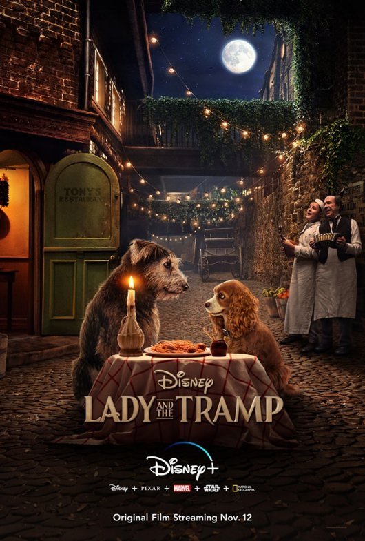 Lady and The Tramp poster live-action Disney Plus