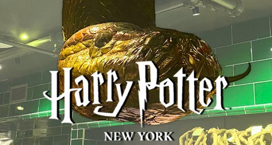 Harry Potter New York