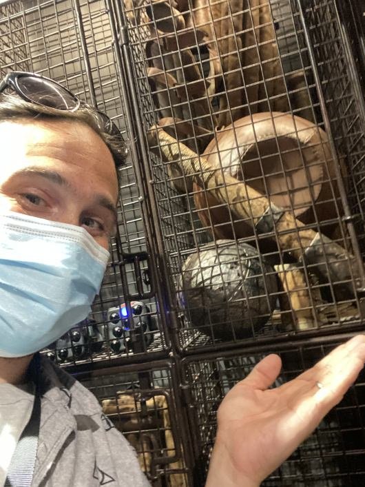 Harry Potter New York VR Experience