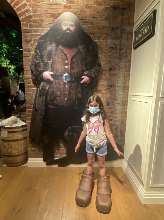 Harry Potter New York VR Experience