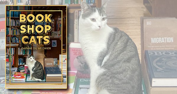Bookshop Cats by Daphne du Meowier book cover
